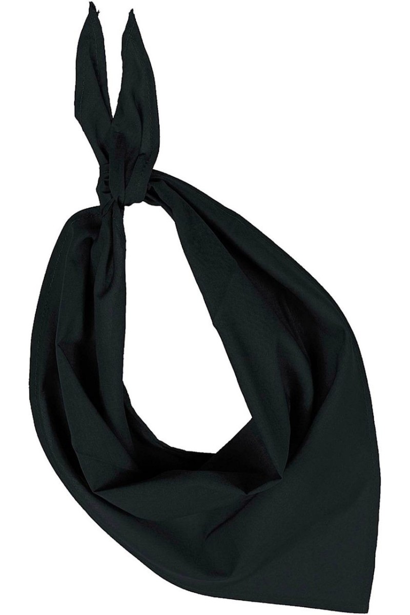 FIESTA - BANDANA