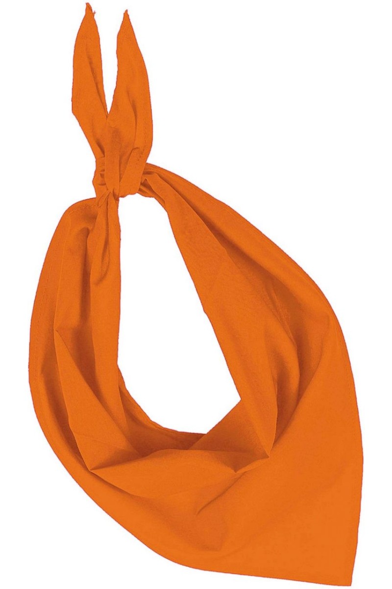 FIESTA - BANDANA