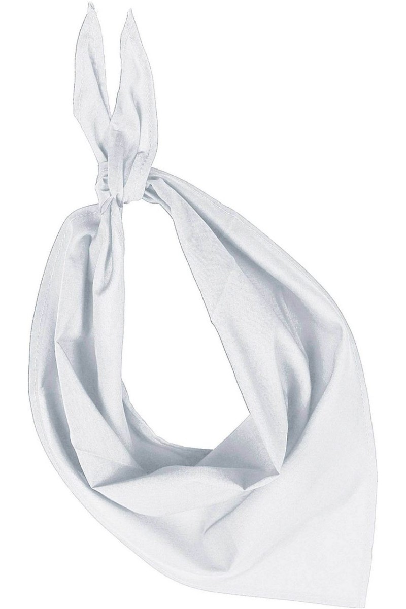 FIESTA - BANDANA