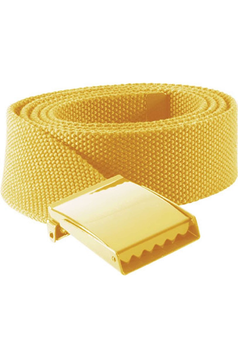 POLYESTER BELT