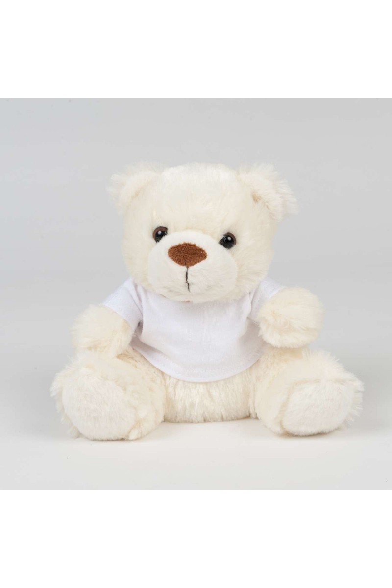 BEAR IN A T-SHIRT