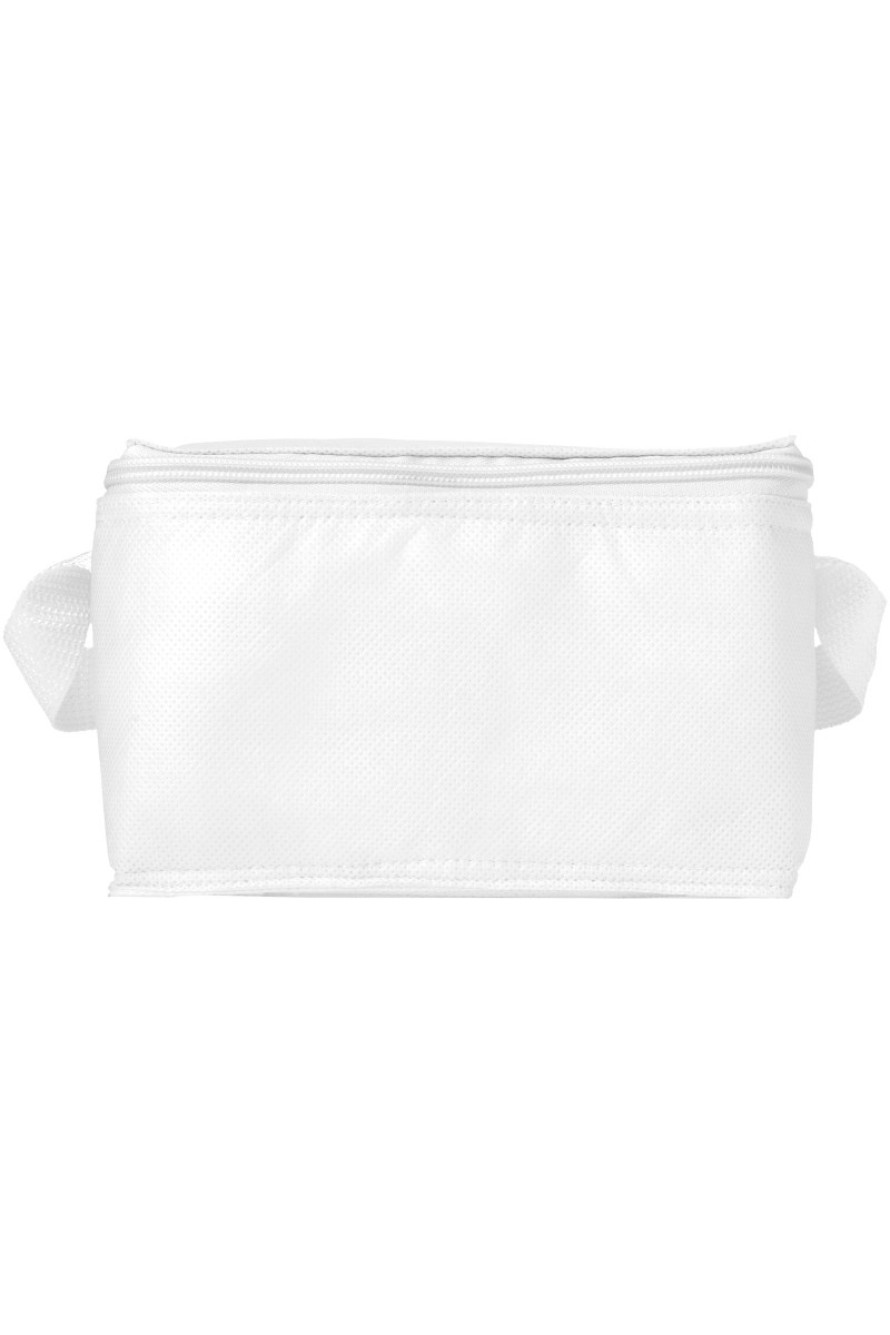 Spectrum 6-can cooler bag 4L