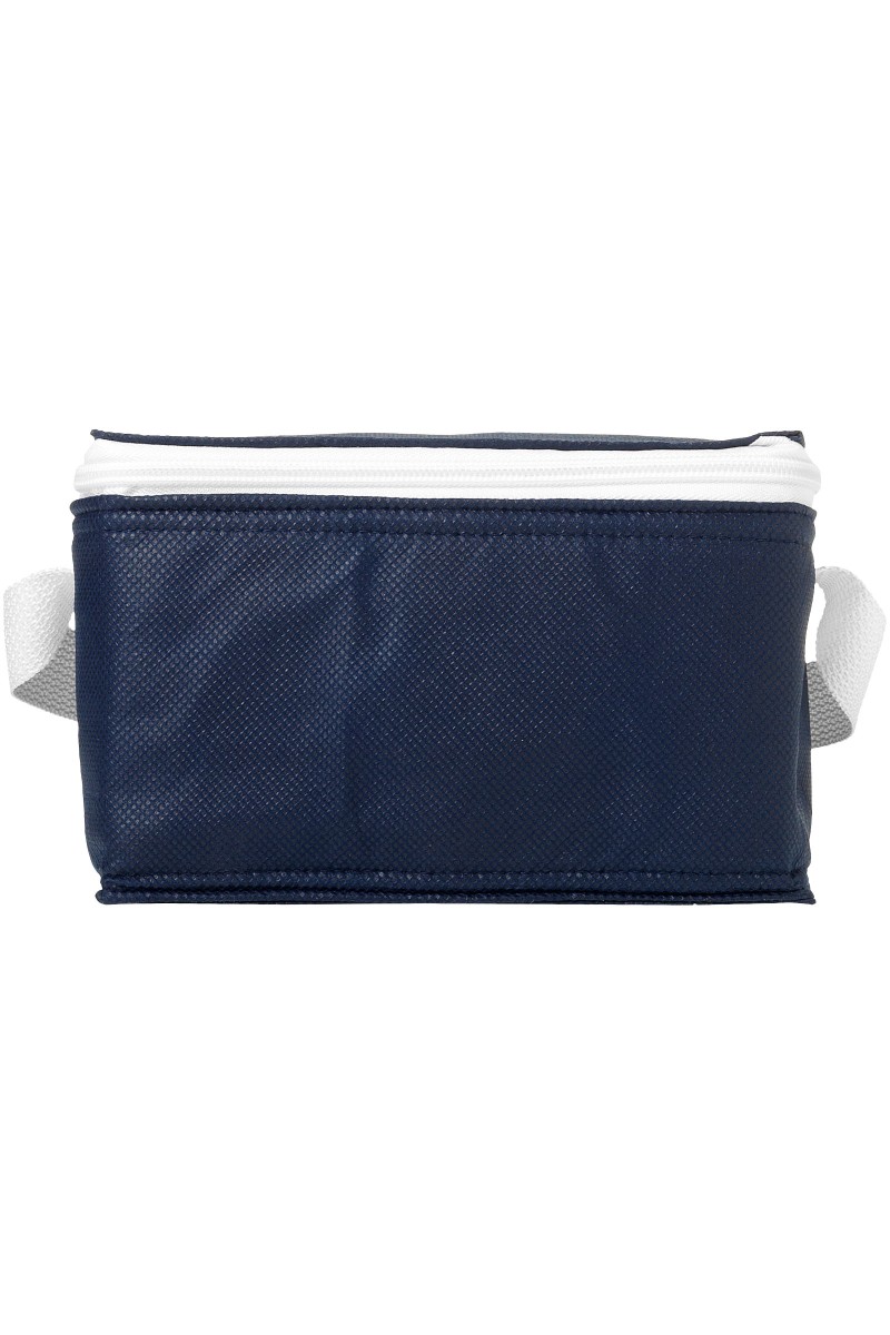 Spectrum 6-can cooler bag 4L