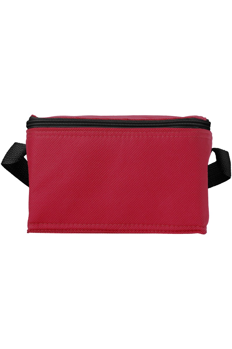 Spectrum 6-can cooler bag 4L