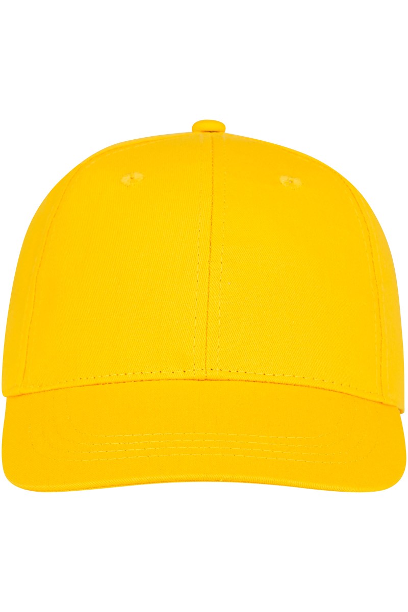 Ares 6 panel cap