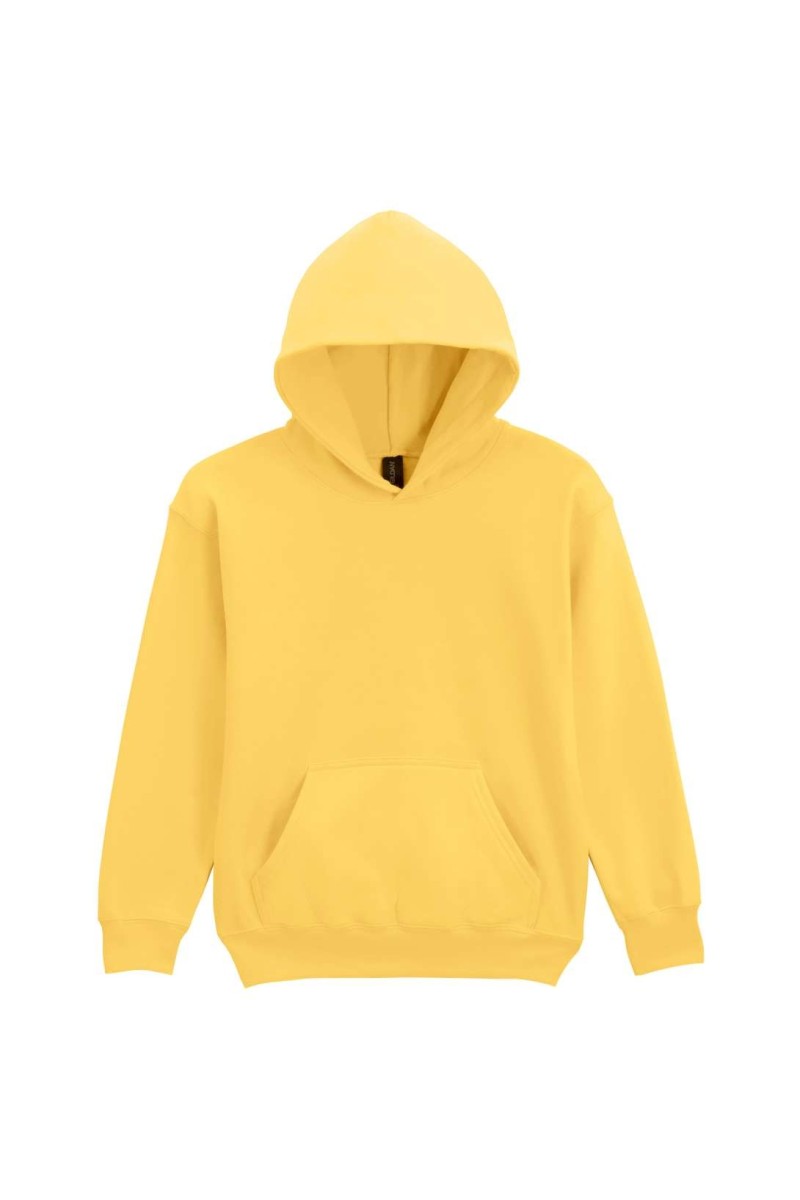 SOFTSTYLE™ MIDWEIGHT FLEECE YOUTH HOODIE