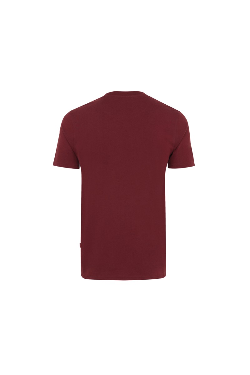 IQONIQ Bryce recycled cotton t-shirt
