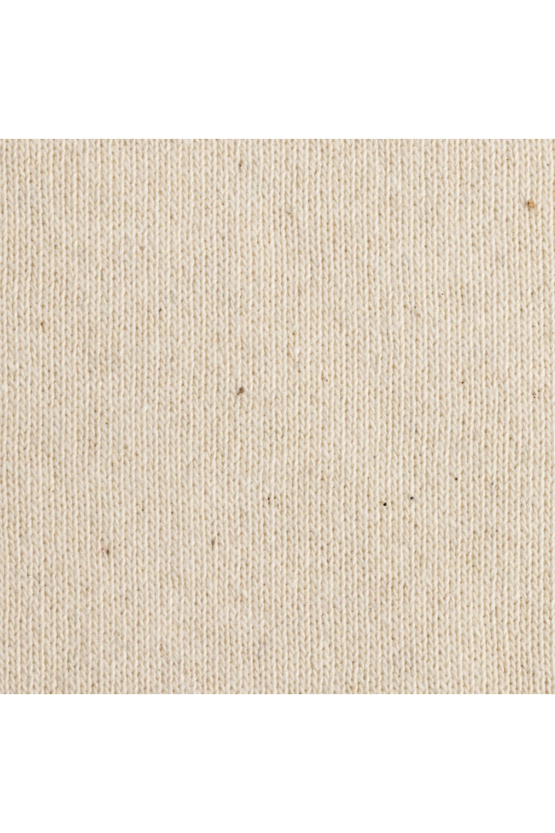 IQONIQ Manuel recycled cotton t-shirt undyed
