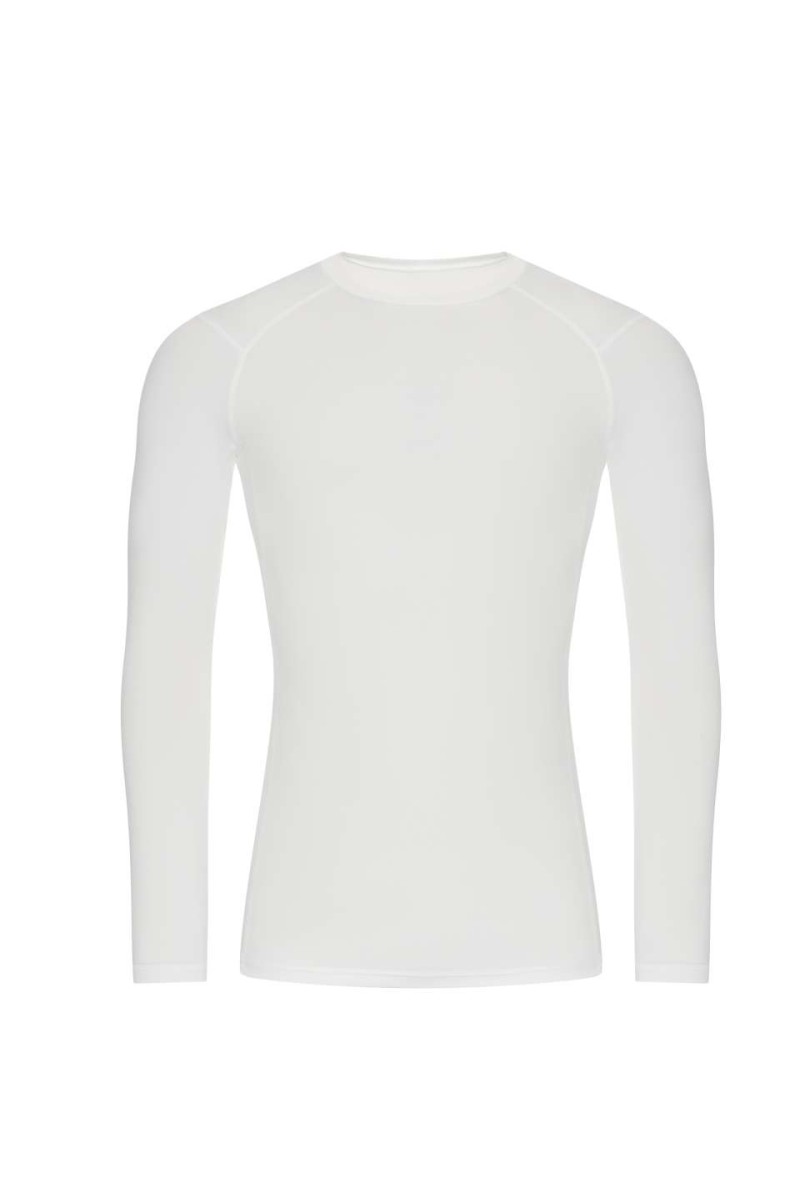 Arctic White