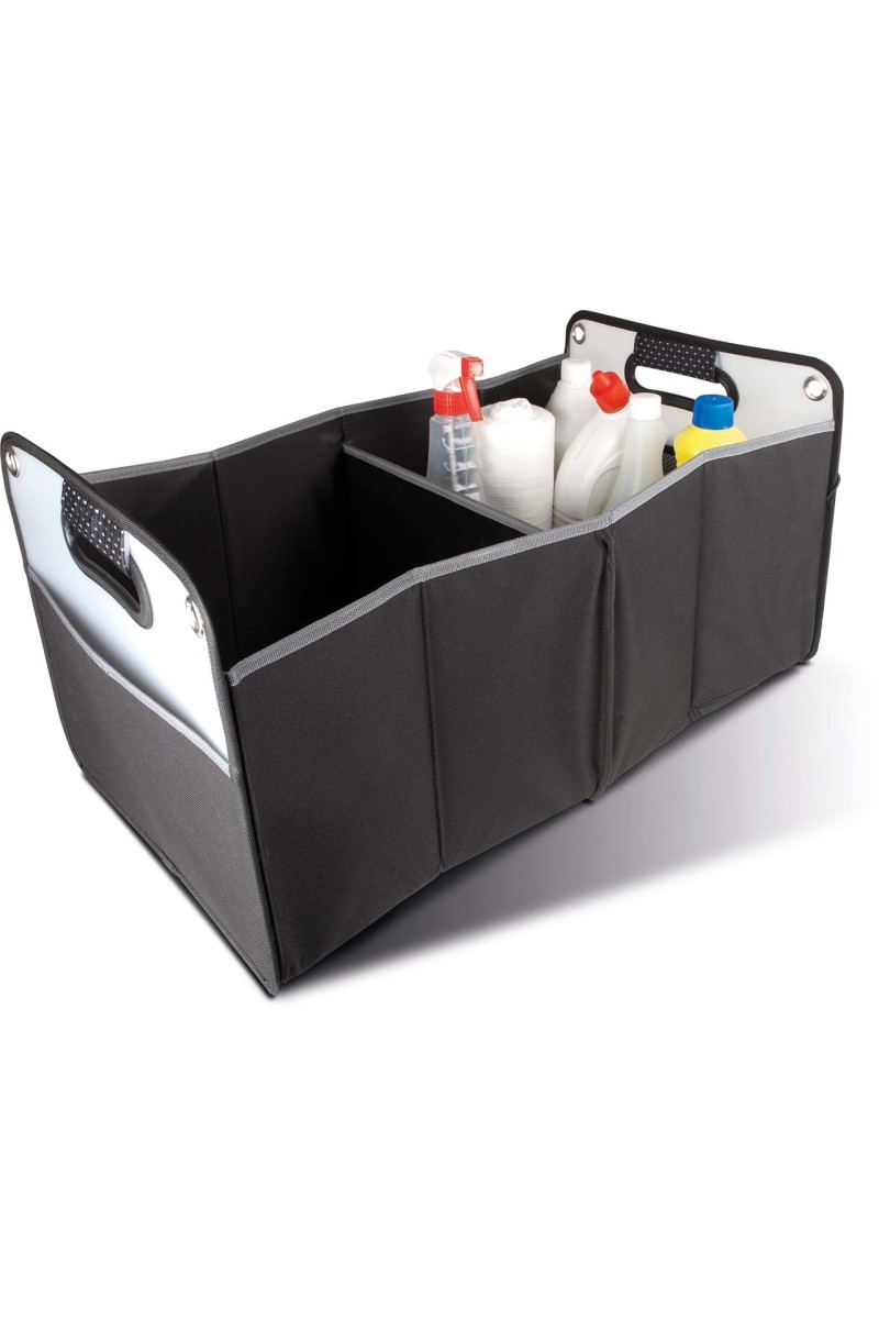 ORGANIZATOR AUTO