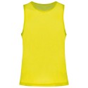 Fluorescent Yellow