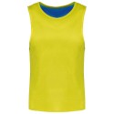 Fluorescent Yellow/Sporty Royal Blue