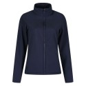 Navy/Navy