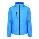French Blue/Navy