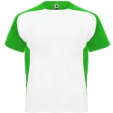 White/Fern Green