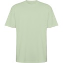 Mist Green