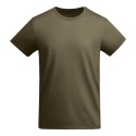 Army  Green