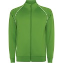Fern Green