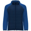 Navy/Blue Royal