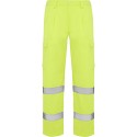 Fluor Yellow