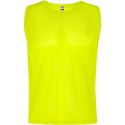 Fluor Yellow