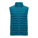Dark Teal