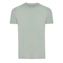 Iceberg Green