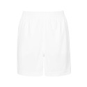 Arctic White