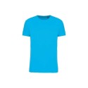 Sea Turquoise