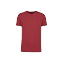 Terracotta Red