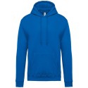 Light Royal Blue