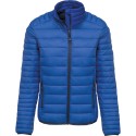 Light Royal Blue