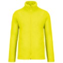 Fluorescent Yellow