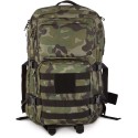 Olive Camouflage